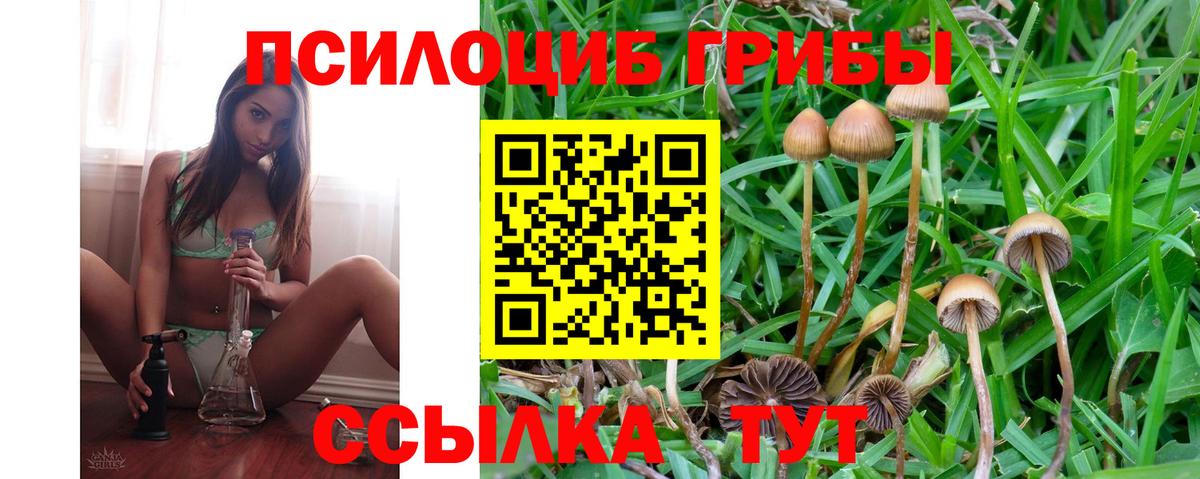 Псилоцибиновые грибы Psilocybine cubensis  Вход с VPN  Кингисепп 